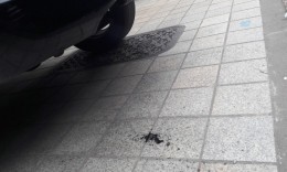 첨부이미지